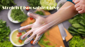 Disposable Glove